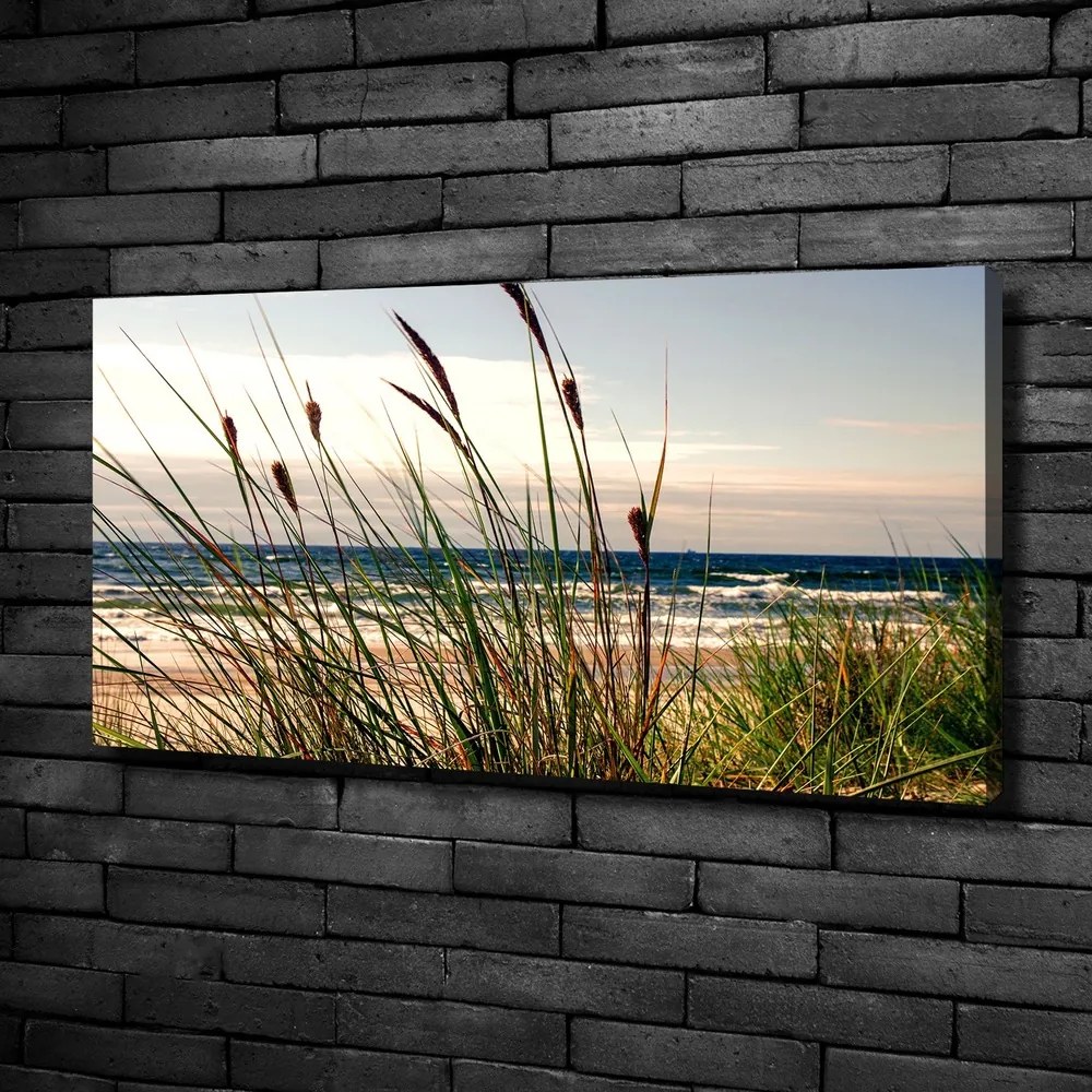 Tablou pe pânză canvas Dune de coastă