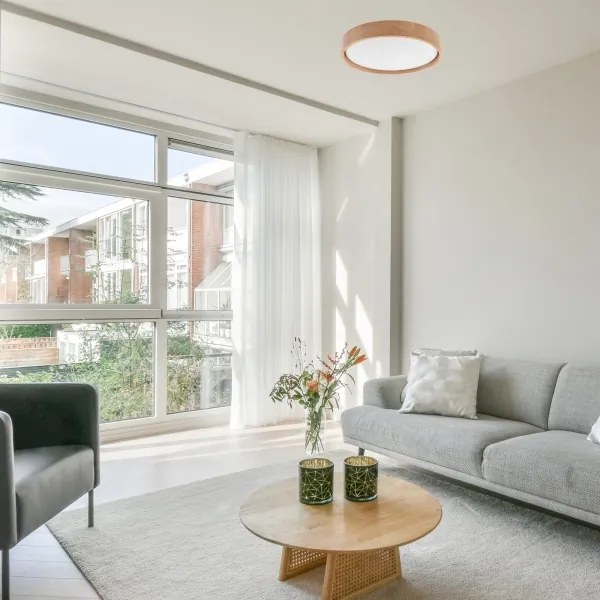 Brilagi - Plafonier MANAROLA SMART LED 24W 230V cu telecomandă Tuya