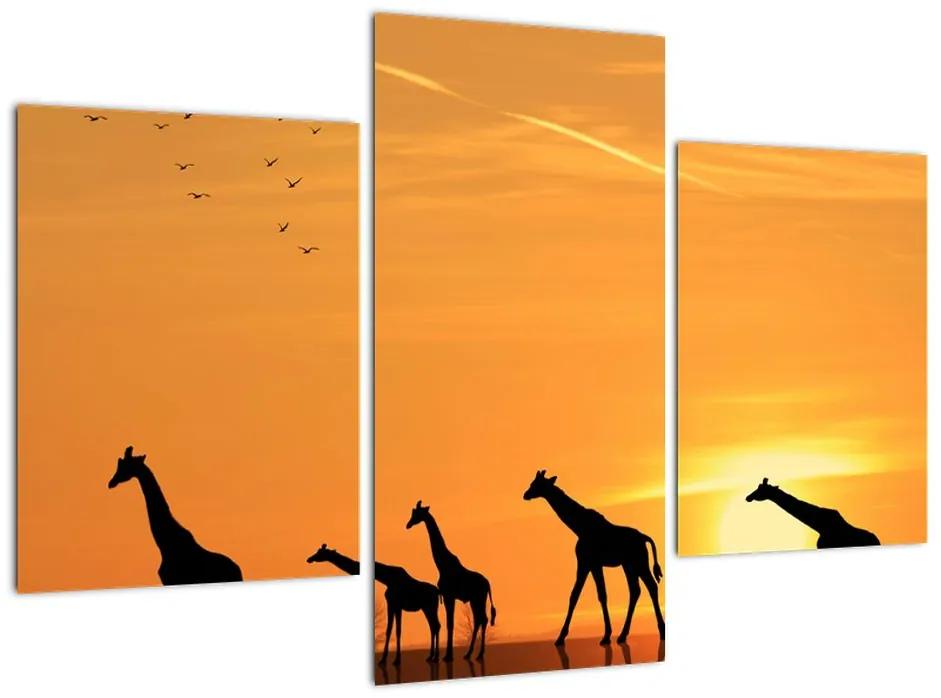Tablou modern - girafe (90x60cm)