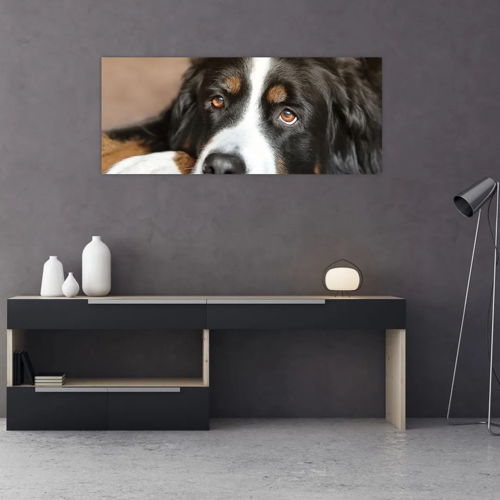 Tablou cu câine (120x50 cm)