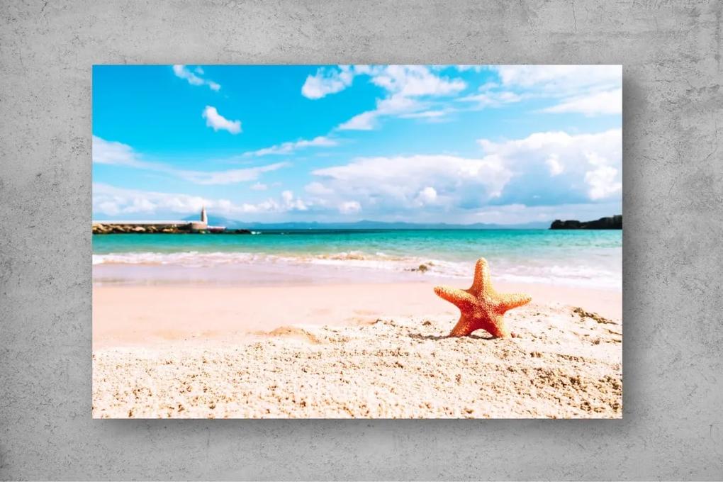 Tapet Premium Canvas - Steaua de mare pe plaja insorita