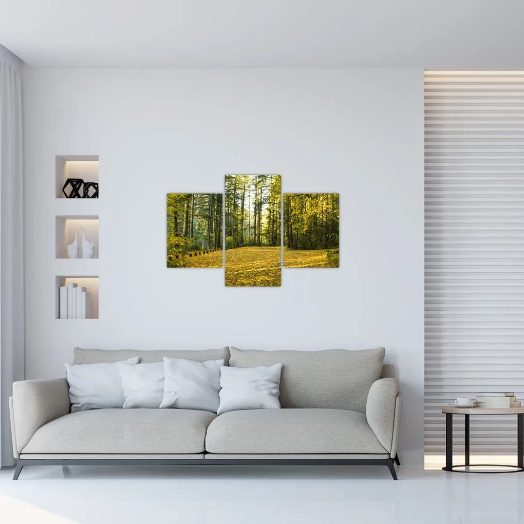 Tablou - pădurea toamna (90x60 cm)