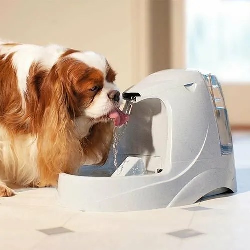 Fontană PetSafe® Platinum 5 l