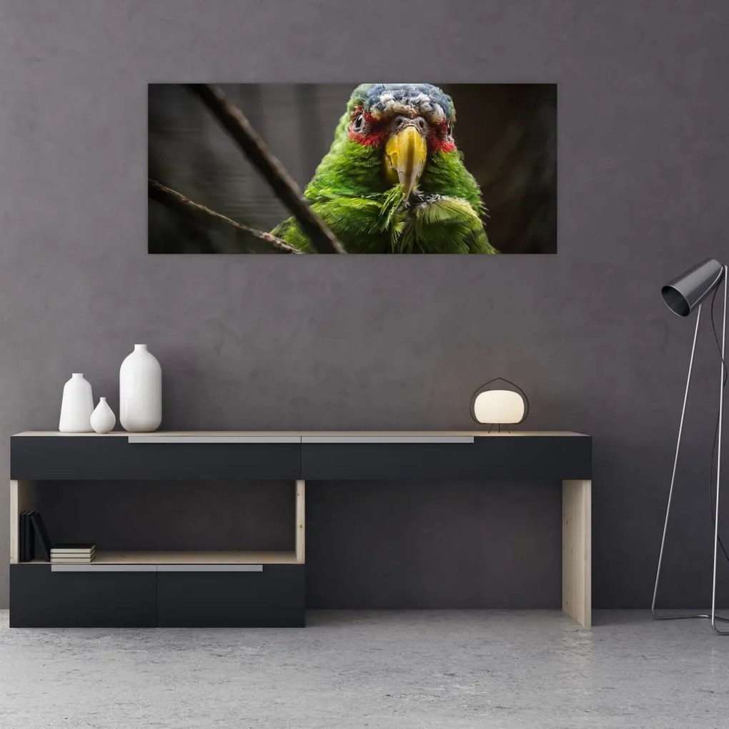 Tablou cu papagal (120x50 cm)