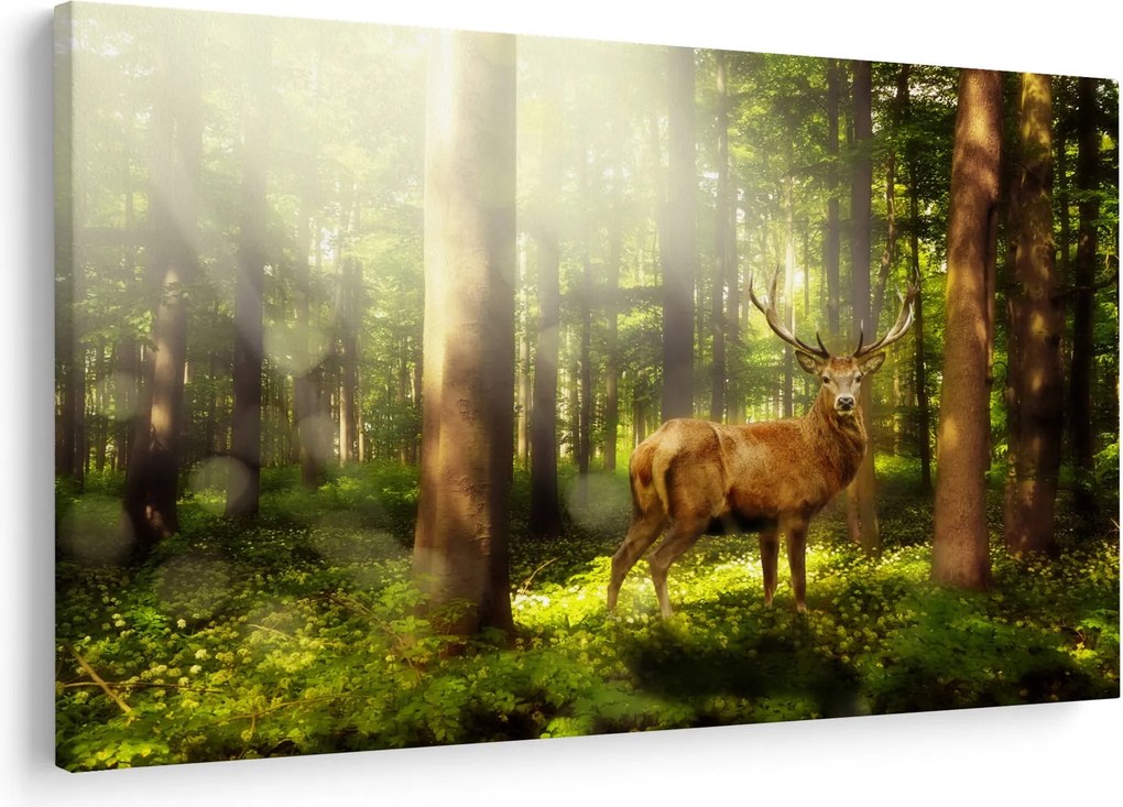 Tablou cu cerbul în pădure (90x60 cm)