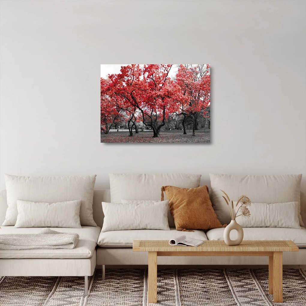 Tablou pe sticlă - Copacii roșii, Central Park, New York (70x50 cm)
