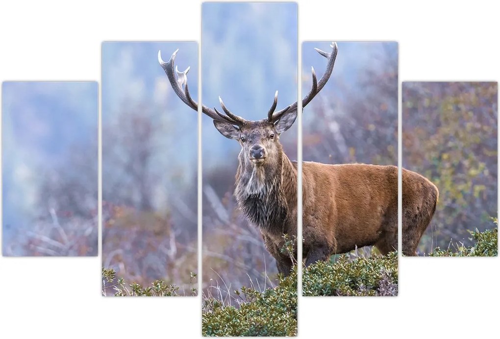 Tablou - Cerb în peisaj (150x105 cm)