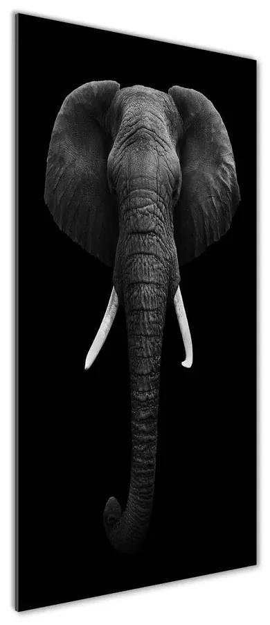Tablou pe pe sticlă Elefant african