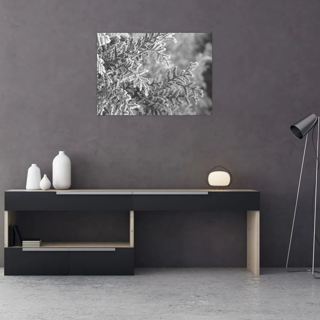 Tablou pe sticlă - Pădure de molid (70x50 cm)