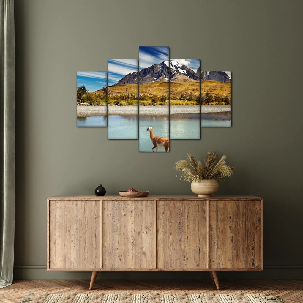 Tablou - Parcul Național Torres del Paine (150x105 cm)