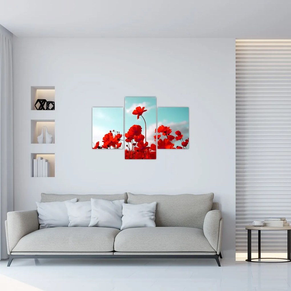 Tablou - Câmp cu flori roșu deschis (90x60 cm)