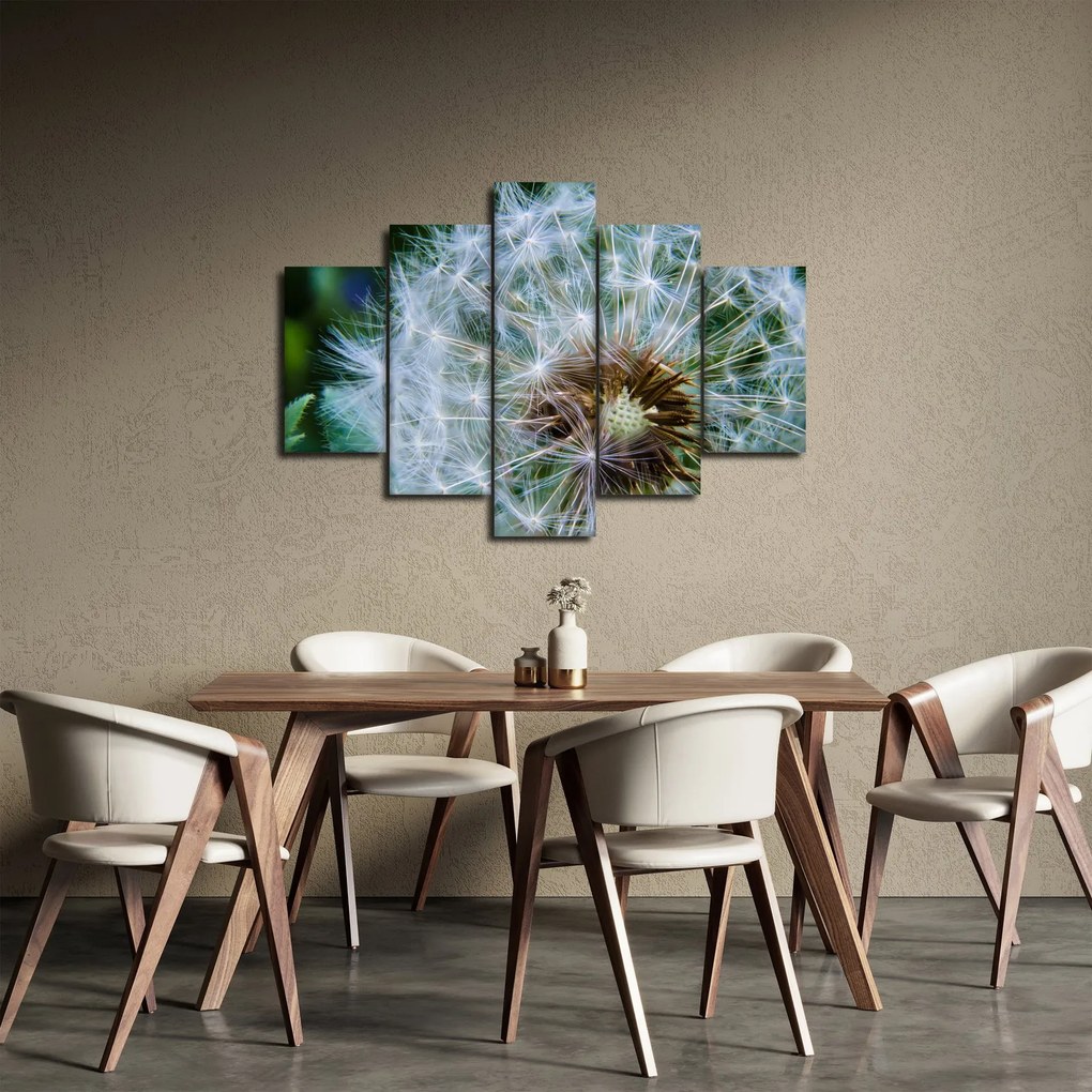Tabloul cu păpădie desflorit (150x105 cm)