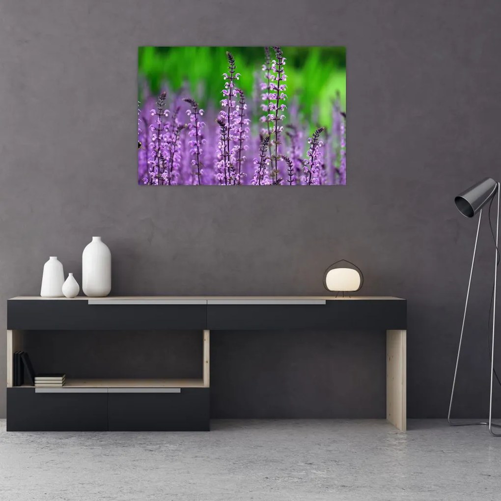 Tablou cu flori de luncă violete (90x60 cm)