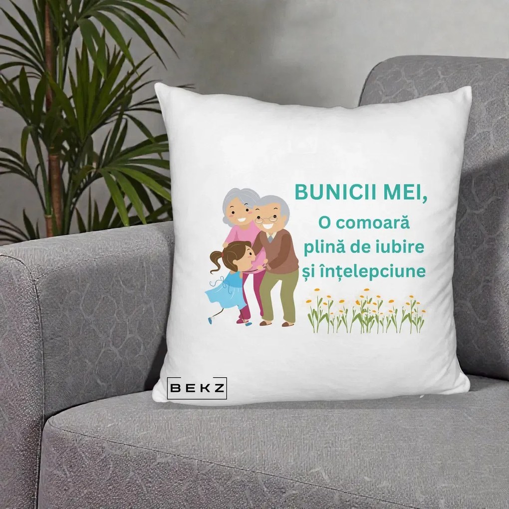 Cadou pentru Bunici - Perna Personalizata Bunicii Mei Comoara Iubire Intelepciune Nepoata, 40x40 cm, Alb Pufos, Husa Detasabila, Perna Inclusa, BEKZ®