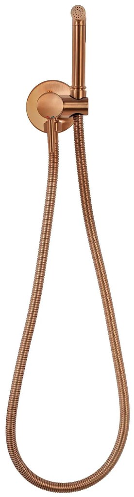 Baterie bideu  Lungo Loop Copper Brush