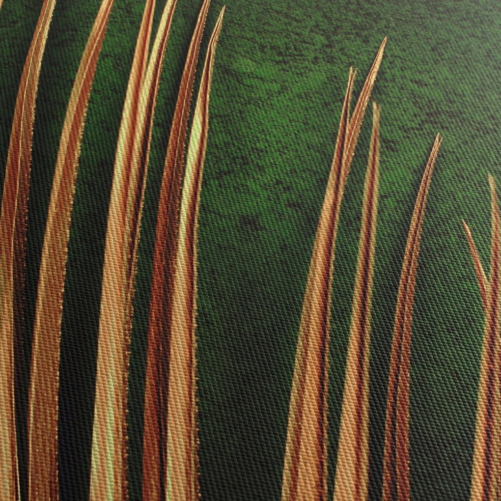 Tablou cu frunză (90x60 cm)