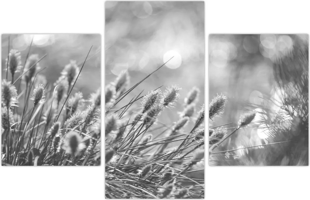Tablou - Iarbă moale bej N⁰1 (90x60 cm)