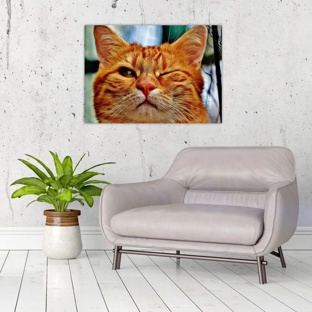 Tablou - Pisica suspicioasă (70x50 cm)