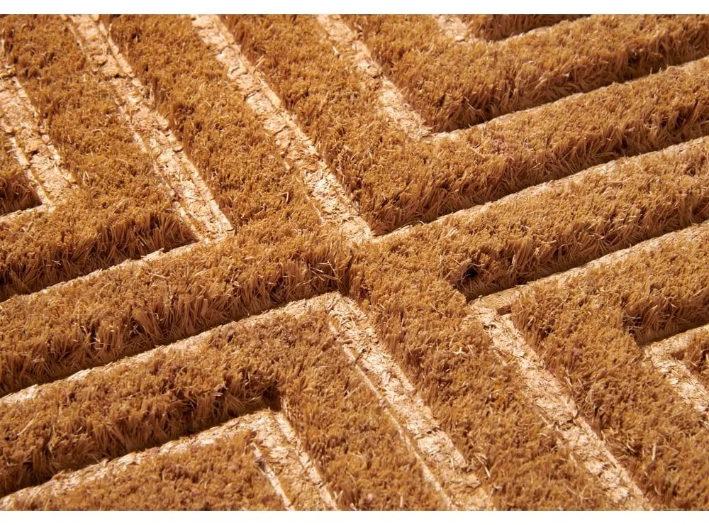 Covoraș de intrare din fibre de nucă de cocos 45x75 cm Geometric – Hanse Home