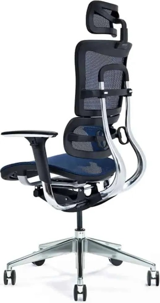Scaun lemn masiv de birou ErgoComfort Plasă Respirabilă Albastru