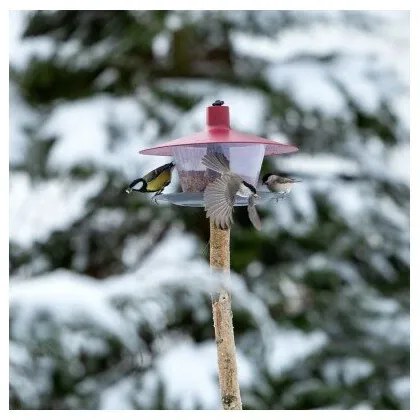 Hrănitor pentru păsări Finch, roşu