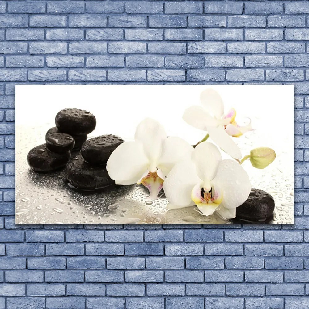 Tablou pe panza canvas Pietre florale flori alb negru