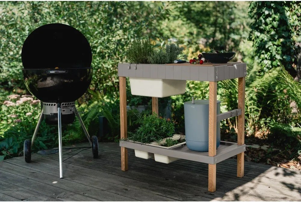 Pat ridicat de plante – Plastia