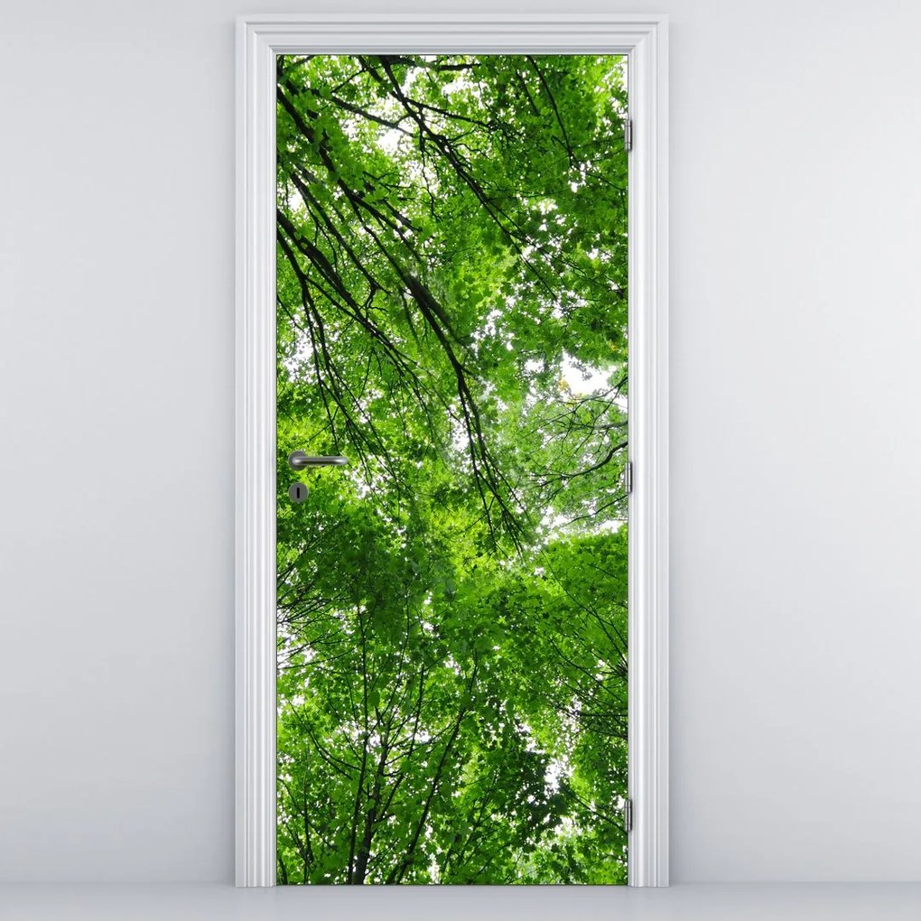 Fototapet pentru ușă - Coroana copacilor (95x205cm)