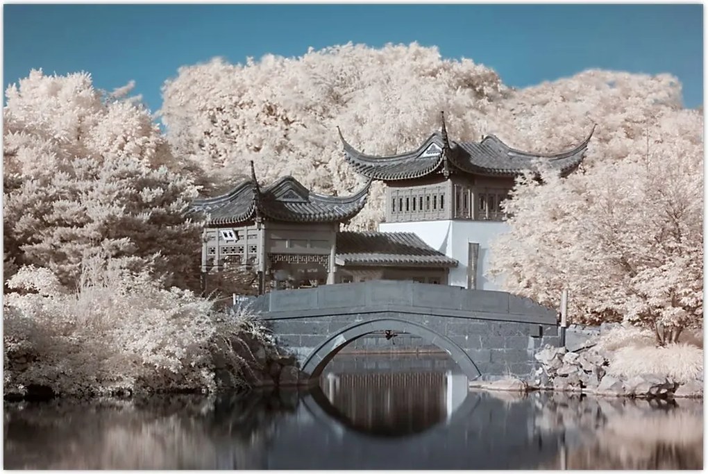 Tablou - pomi înfloriți în Asia (90x60 cm)