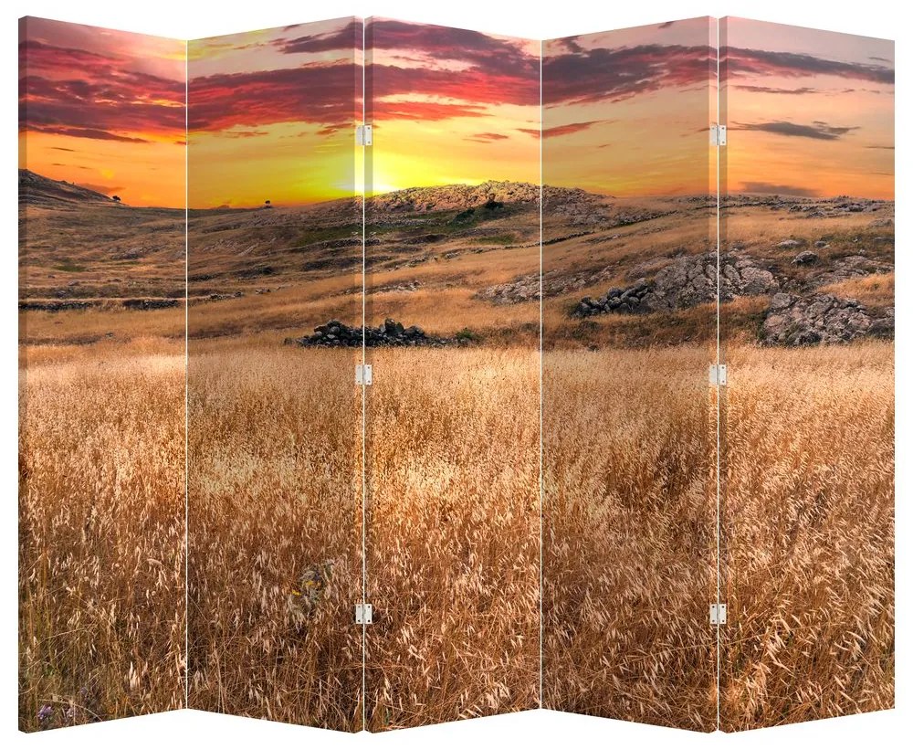 Paravan - Câmp (210x170 cm)