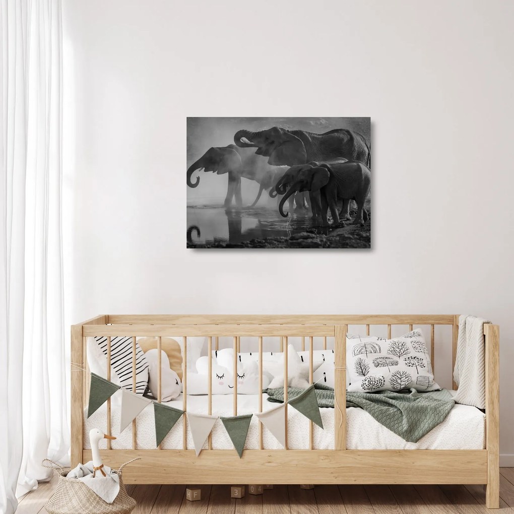 Tablou pe sticlă cu elefanți - albnegru (70x50 cm)