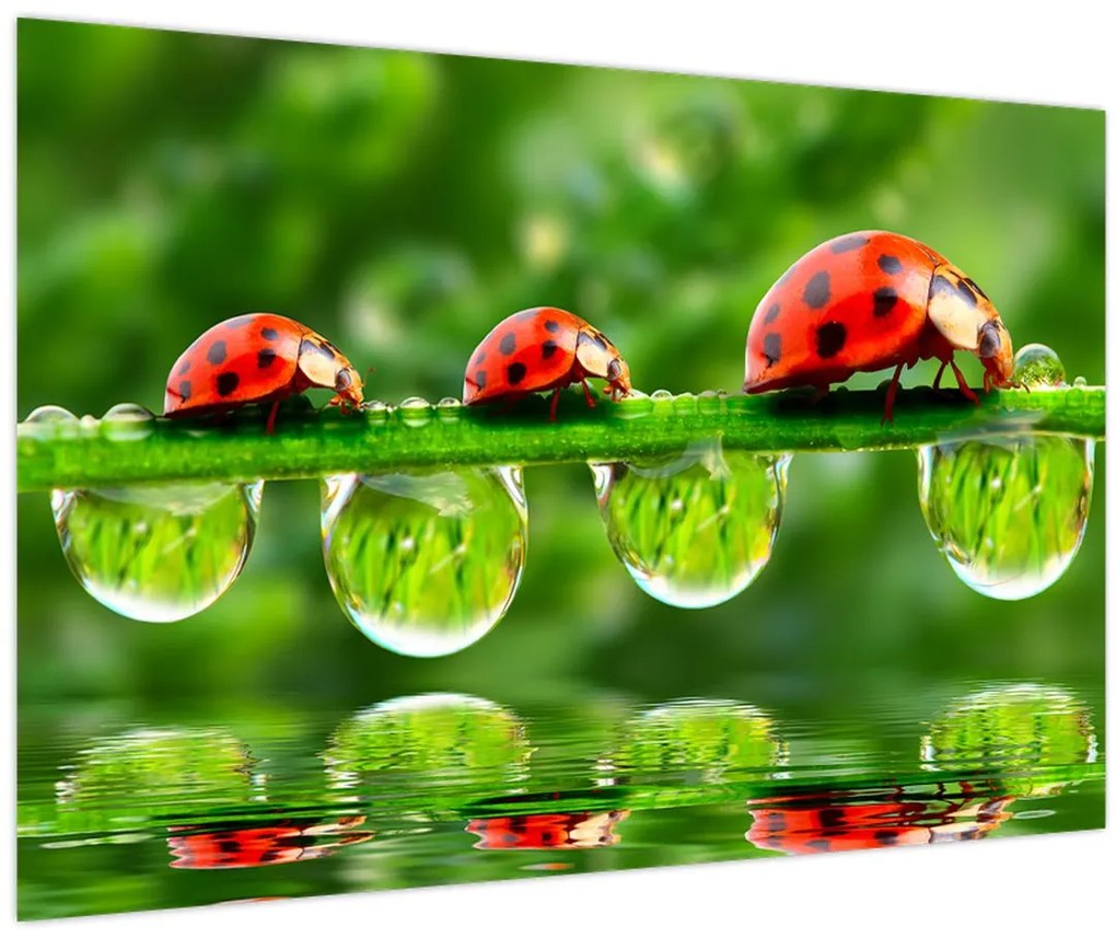 Tablou - Soarele celor șapte sori (90x60 cm)