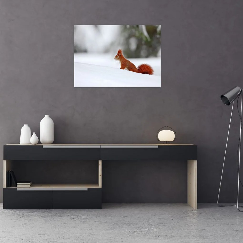 Tablou - Vevetițe (70x50 cm)