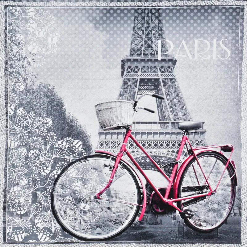 Falc Tablou pe pânză - Ride in Paris, 40x40 cm
