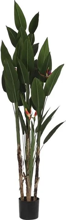 Plantă decorativă DKD Home Decor (90 x 90 x 200 cm)