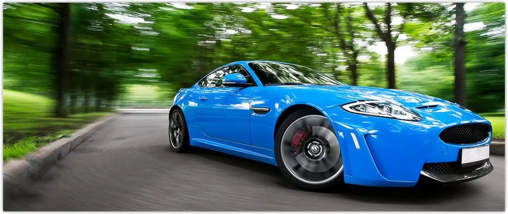 Tablou - Mașina de curse (120x50 cm)