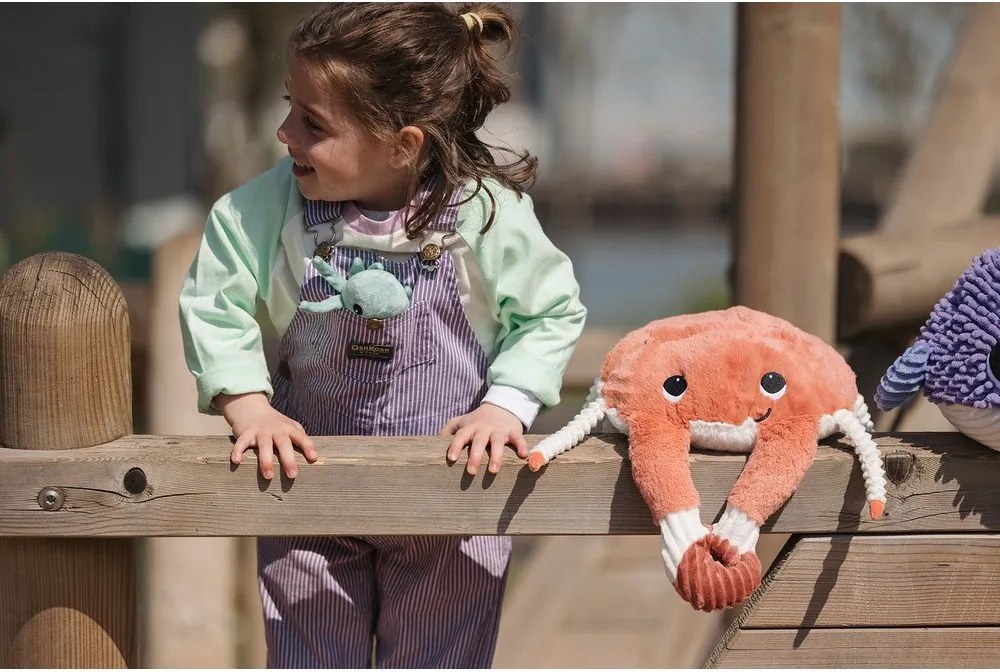 Jucării de pluș 2 buc. Ptipotos Cassecou – Les Deglingos