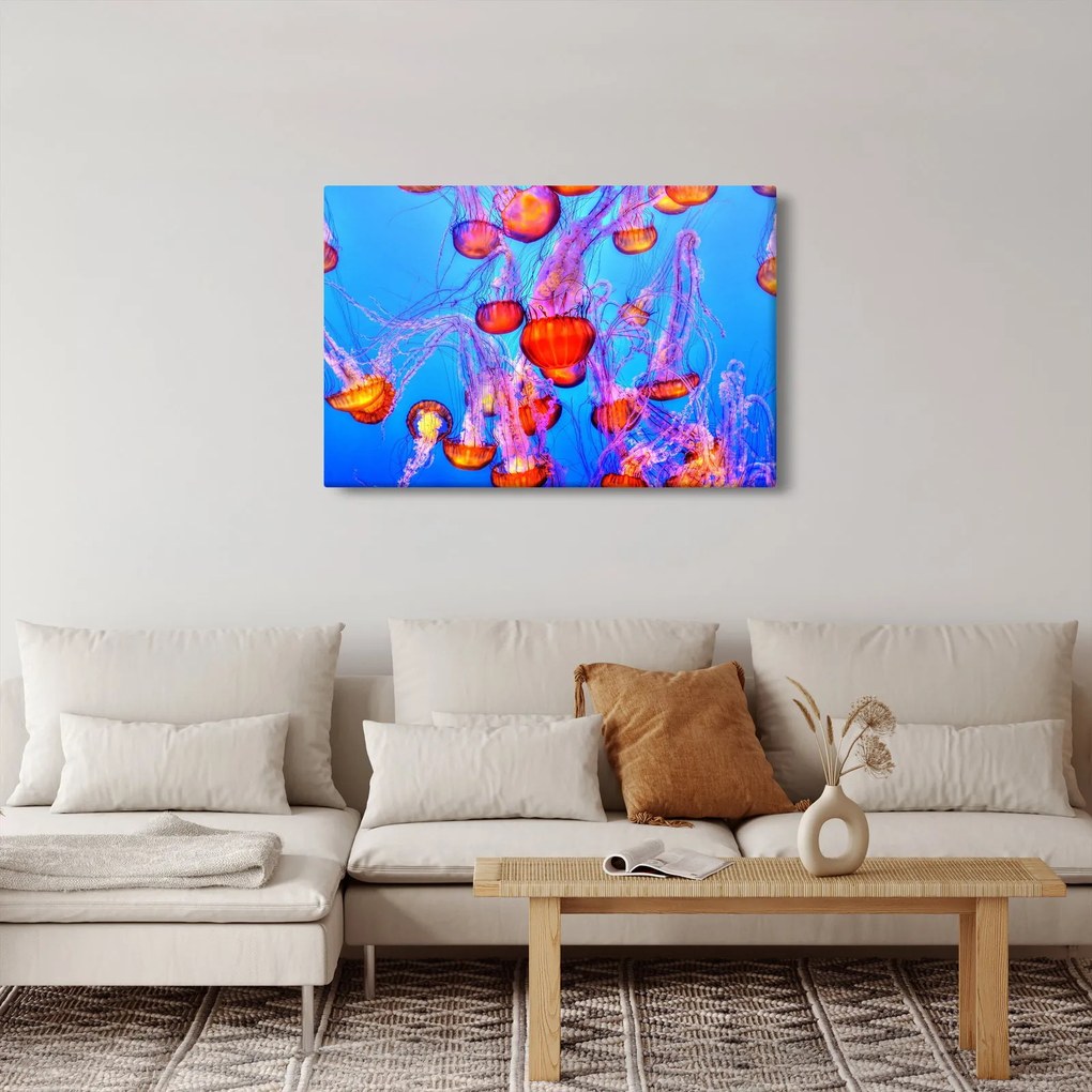Tablou cu meduse în mare (90x60 cm)