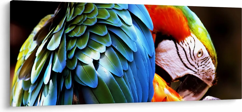 Tablou - Papagal (120x50 cm)