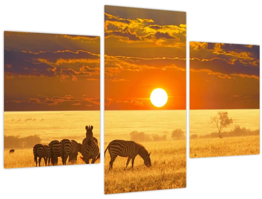 Tablou - Zebre cu apus de soare (90x60 cm)