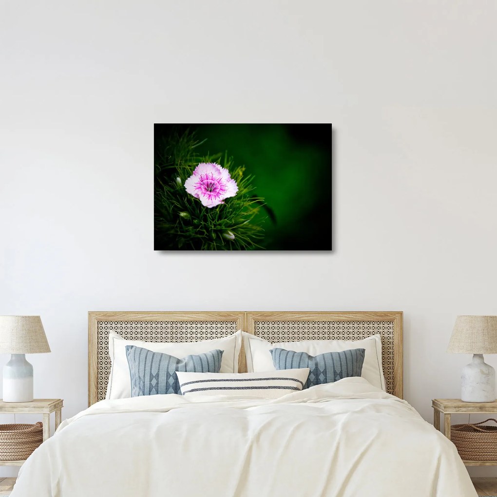 Tablou pe sticlă cu floare roz (70x50 cm)