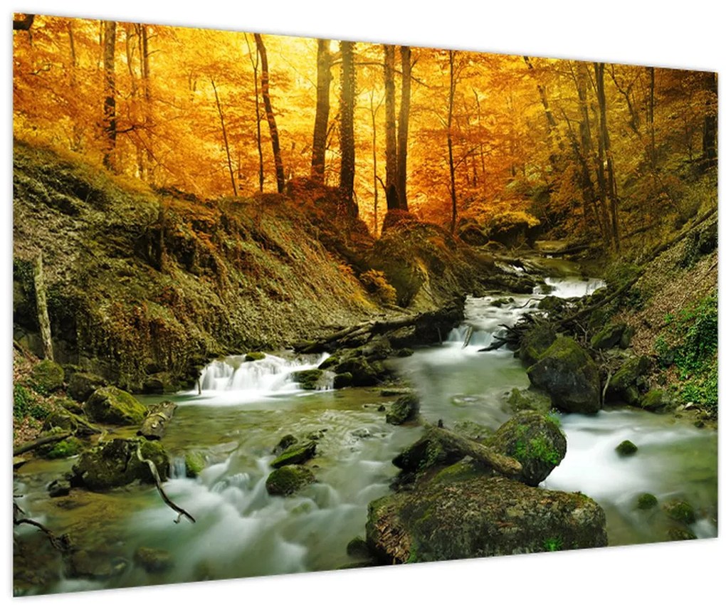 Tablou - Pădure (90x60 cm)