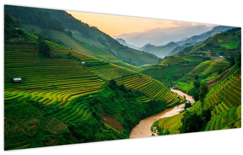 Tablou - Terase de orez II. (120x50 cm)