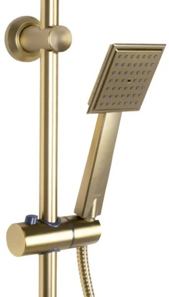 REA-P4121 - Set de duș BRAVO cu baterie, finisaj auriu periat