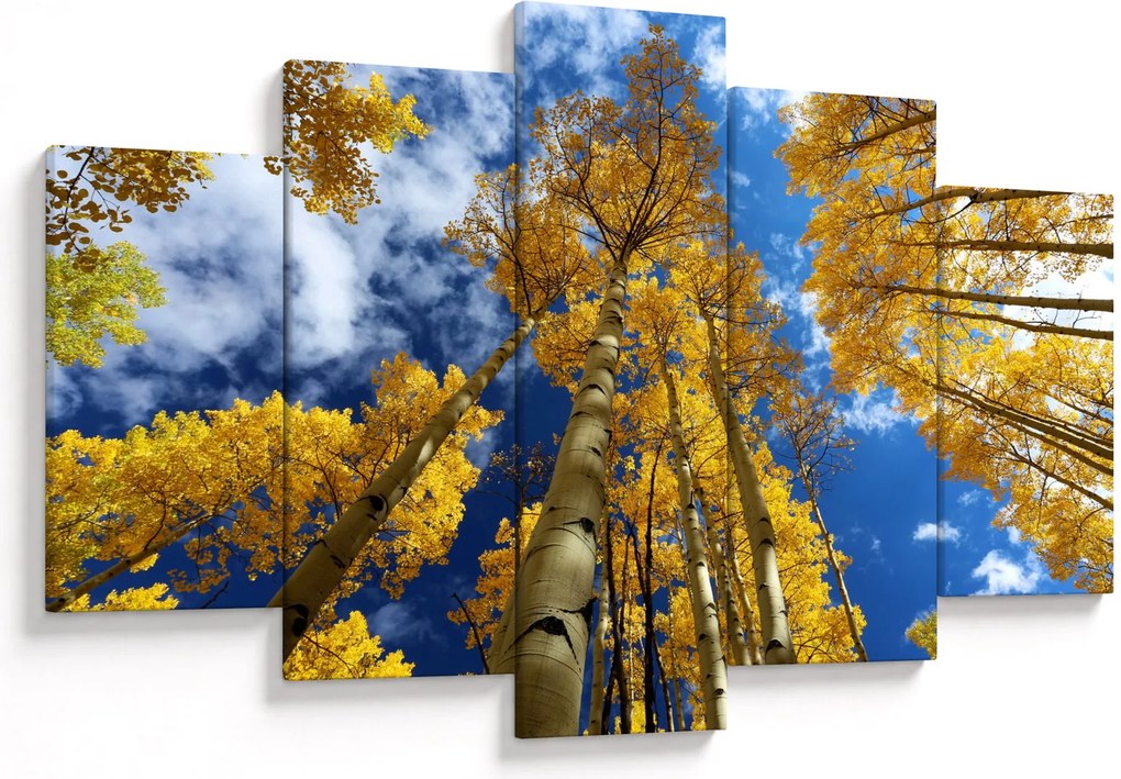 Tablou - Aspen (150x105 cm)