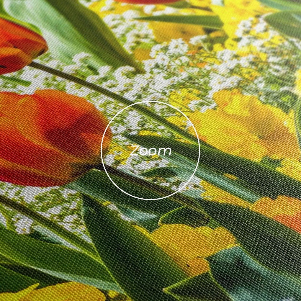 Tablou Canvas, 40x60cm, Dormitor si Living, Flori, Flori in natura, Colorful Tulips Garden