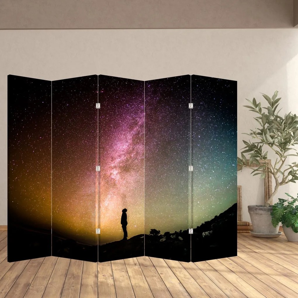 Paravan - Cerul plin de stele (210x170 cm)