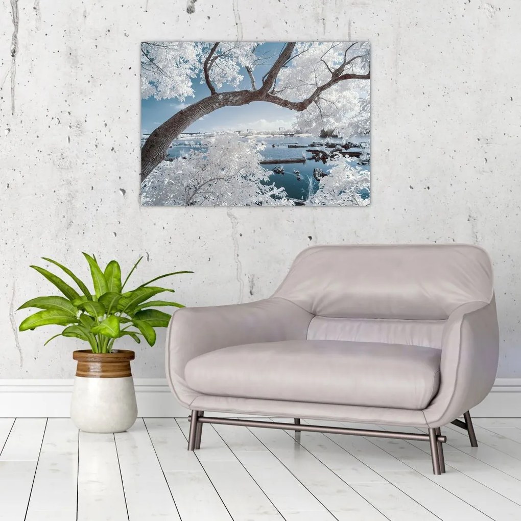 Tablou pe sticlă cu copac înzăpezit lângă apă (70x50 cm)