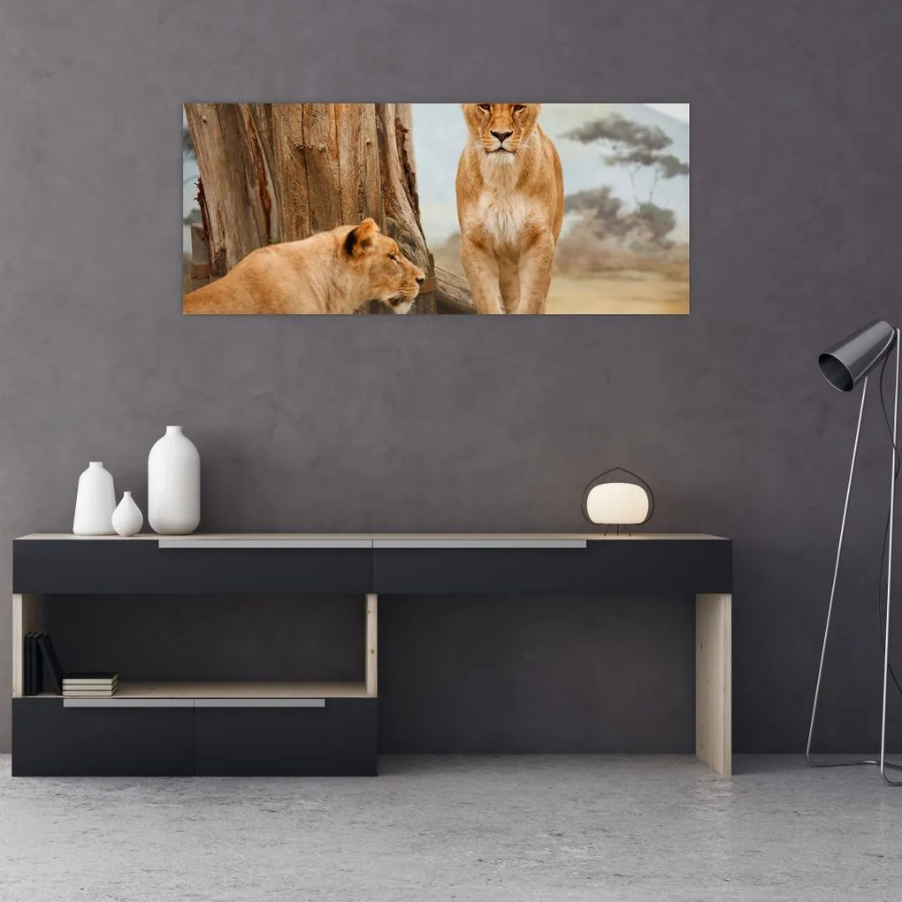 Tablou - două leoaice (120x50 cm)