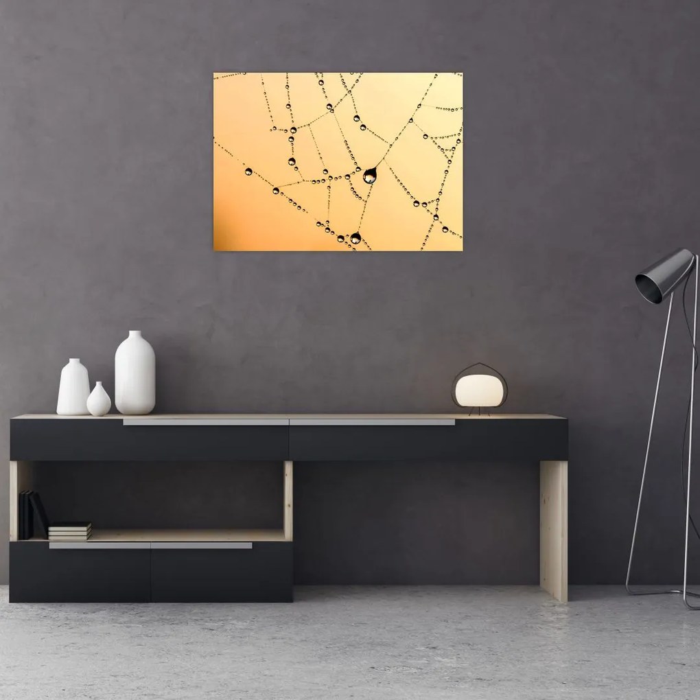 Tablou cu pânză de pâianjen cu rouă (70x50 cm)